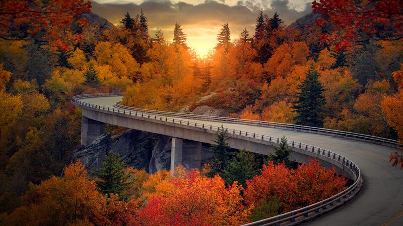 Curved Bridge in Autumn — Orange, Dramatic