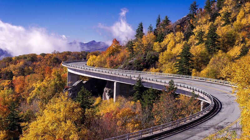 Curved Bridge in Autumn — Yellow