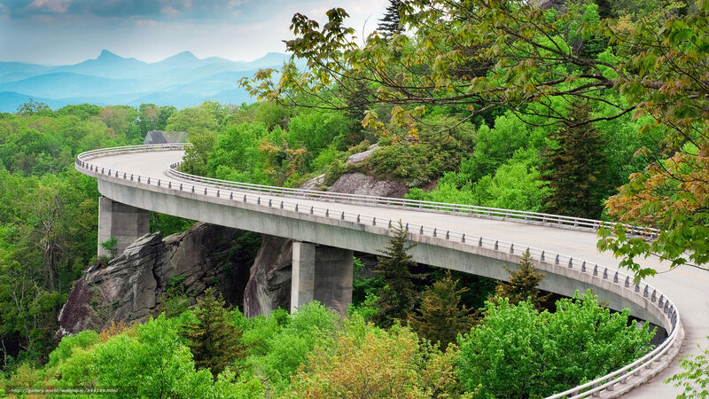 Curved Bridge over Canyon