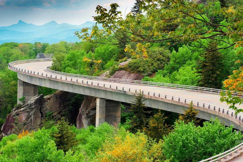 Curved Bridge over Forest — Green