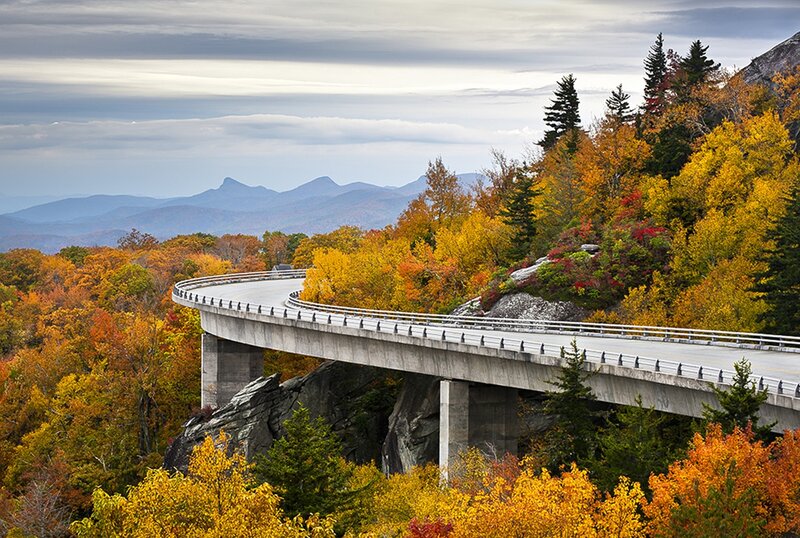 Curved Bridge over Forest — Yellow