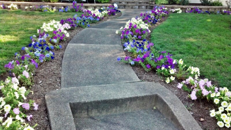 Curved Concrete Path