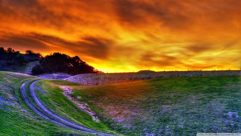 Curved Dirt Path — Orange