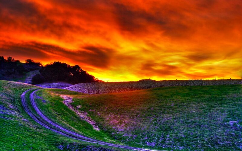 Curved Dirt Path