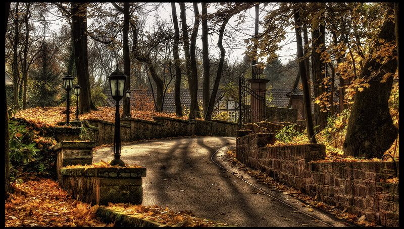 Curved Driveway in Autumn