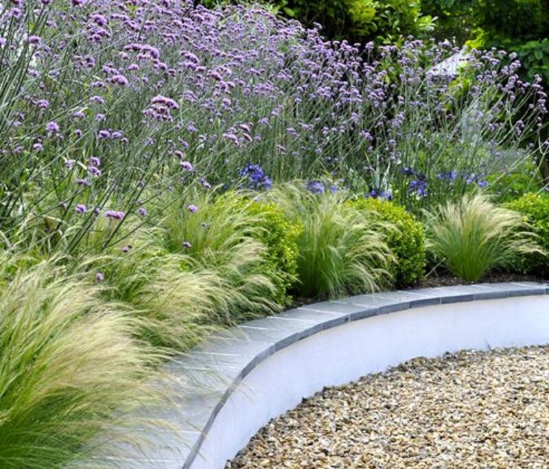 Curved Garden Bed with Lavender