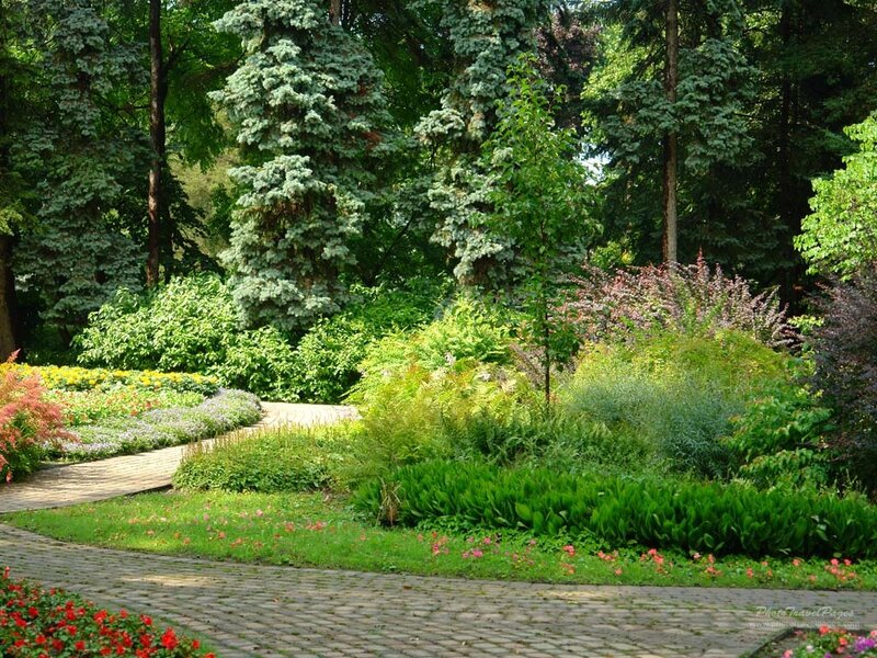 Curved Garden Path