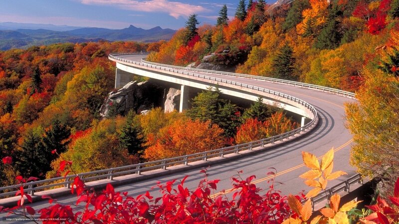 Curved Highway Bridge — Red, Serene, Autumn