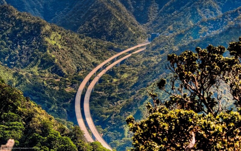 Curved Highway in Mountains — Green, Serene, Afternoon, Photograph