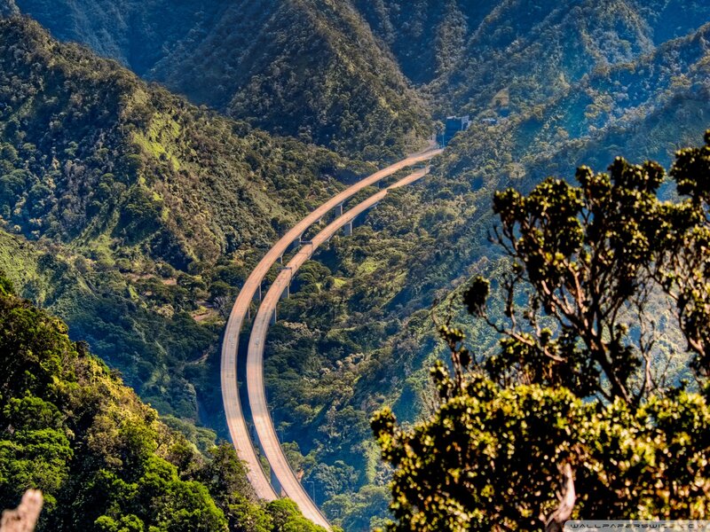 Curved Highway in Mountains — Green