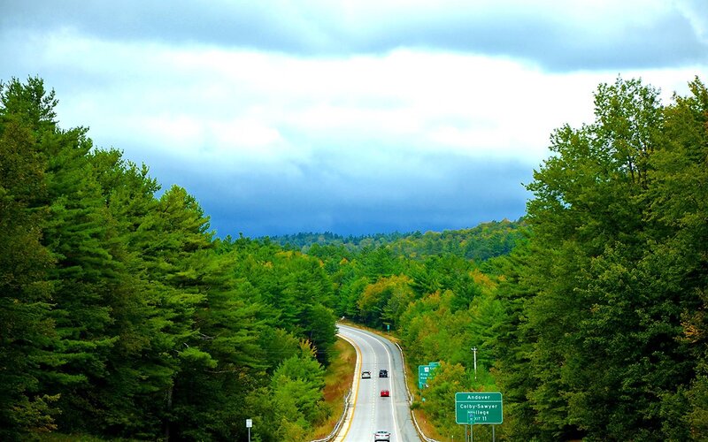 Curved Highway Through Forest