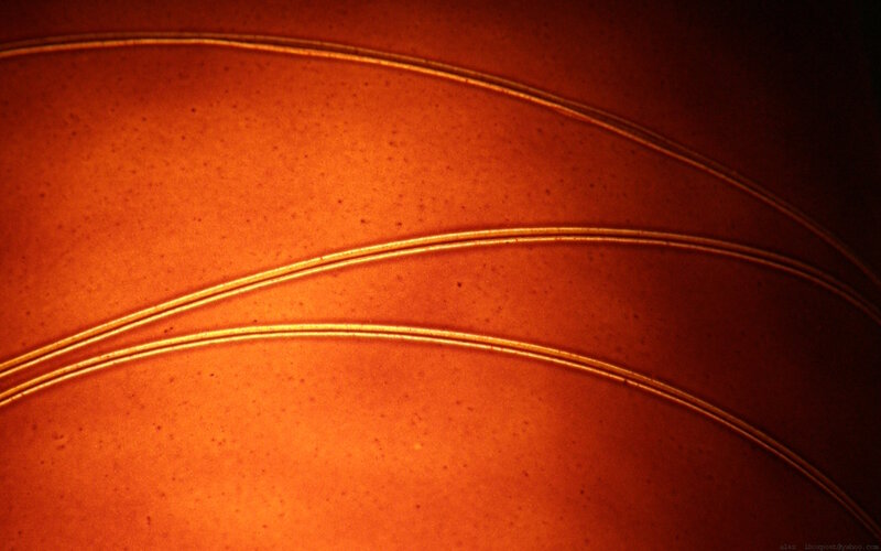 curved lines on orange surface