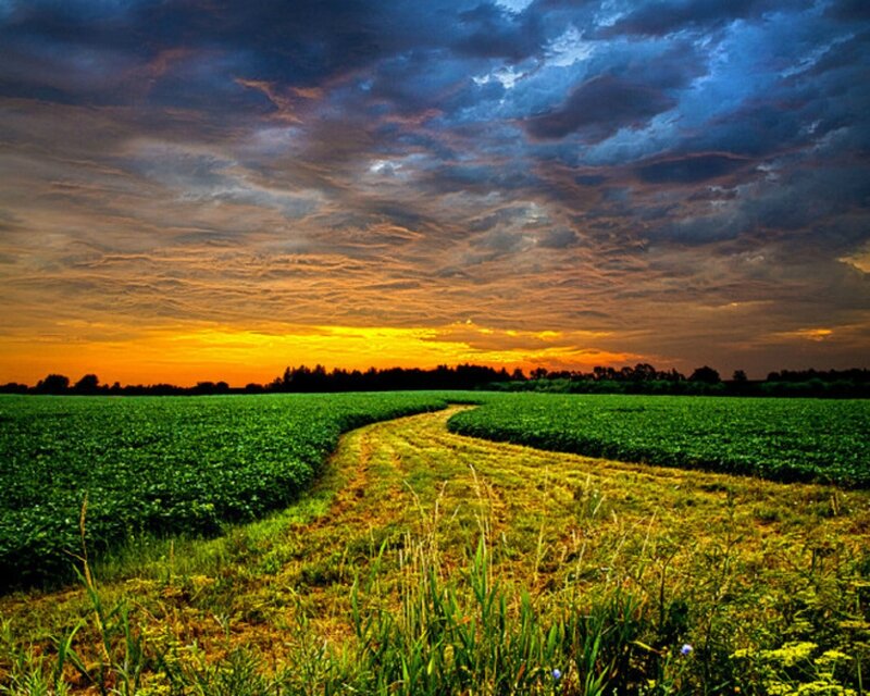 Curved Path in Field