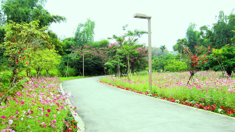 Curved Path in Flower Garden