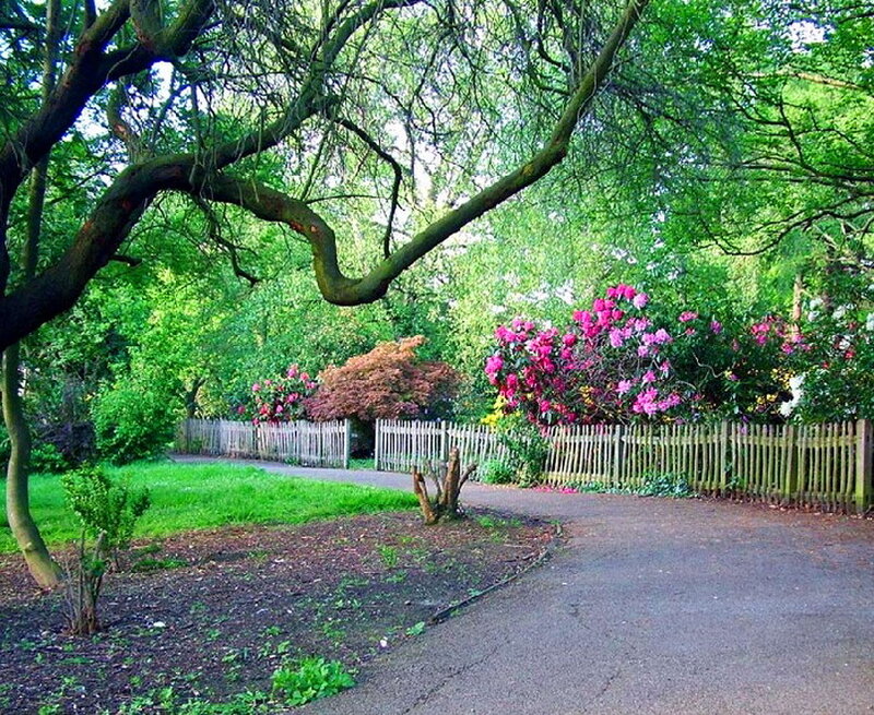 Curved Path in Garden