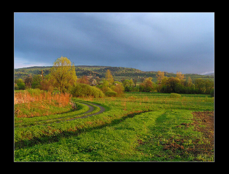 Curved Path in Green Field — Serene