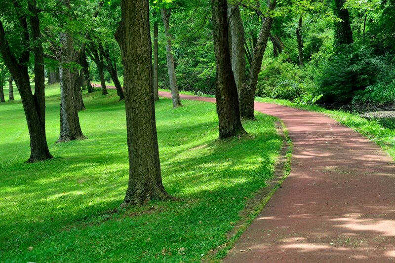 Curved Path in Park — Green, Serene, Afternoon