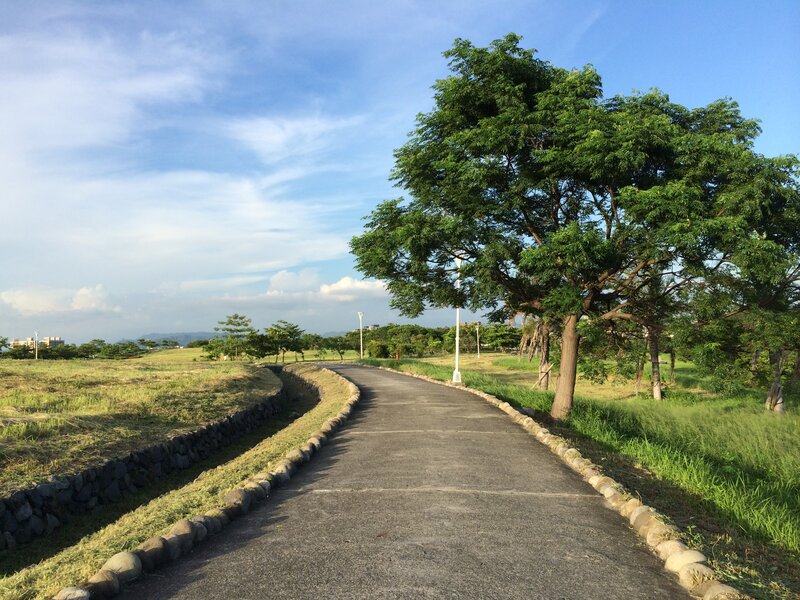 Curved Path in Park — Green, Serene