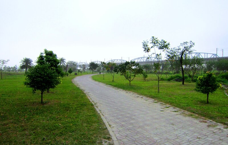 Curved Path in Park — Green