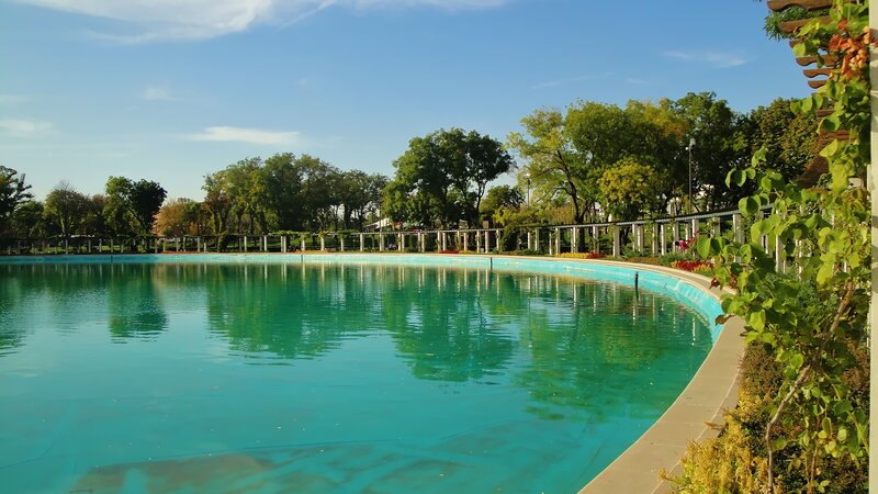 Curved Pool in Park