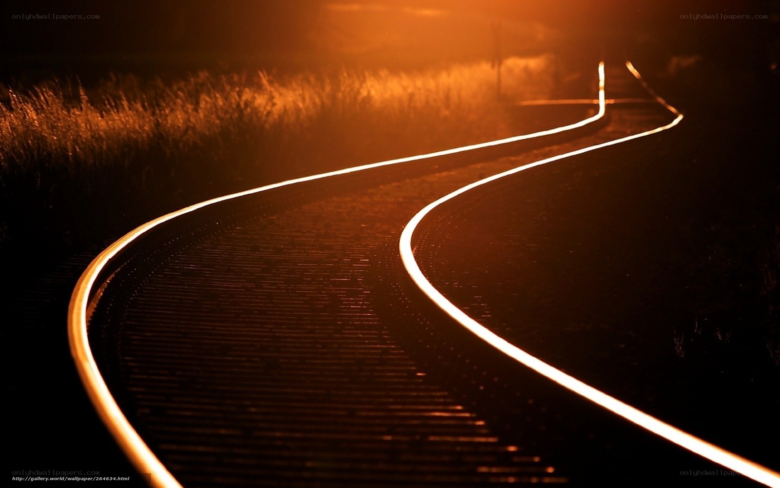 curved railway track at night