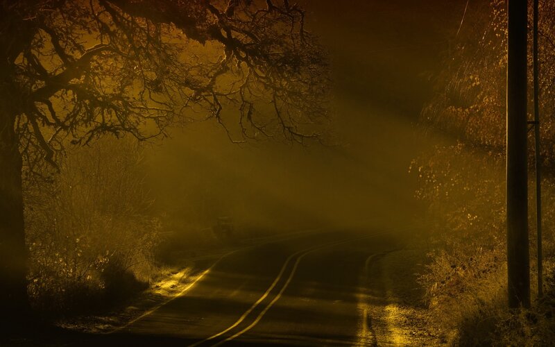 Curved Road at Night — Yellow