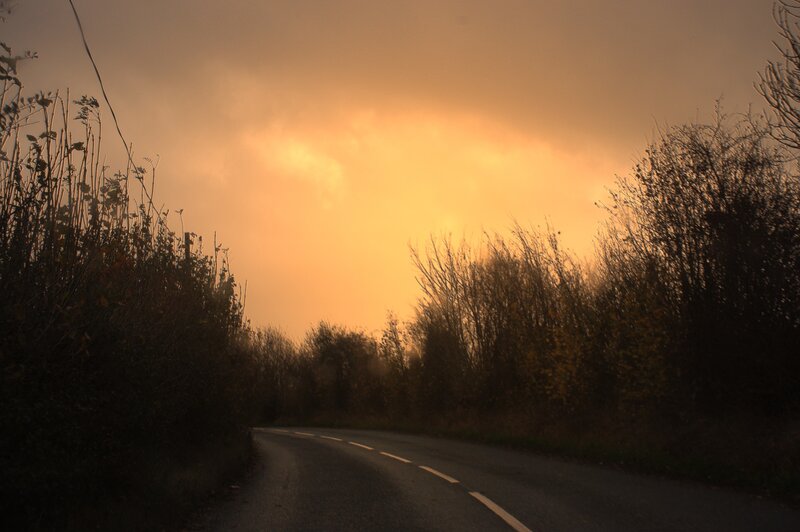 Curved Road at Sunset — Orange, Dramatic, Photograph, Bushes