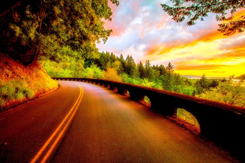 Curved Road at Sunset — Orange, Dramatic, Photograph, Trees