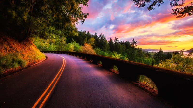 Curved Road at Sunset — Purple, Dramatic, Photograph, Forest