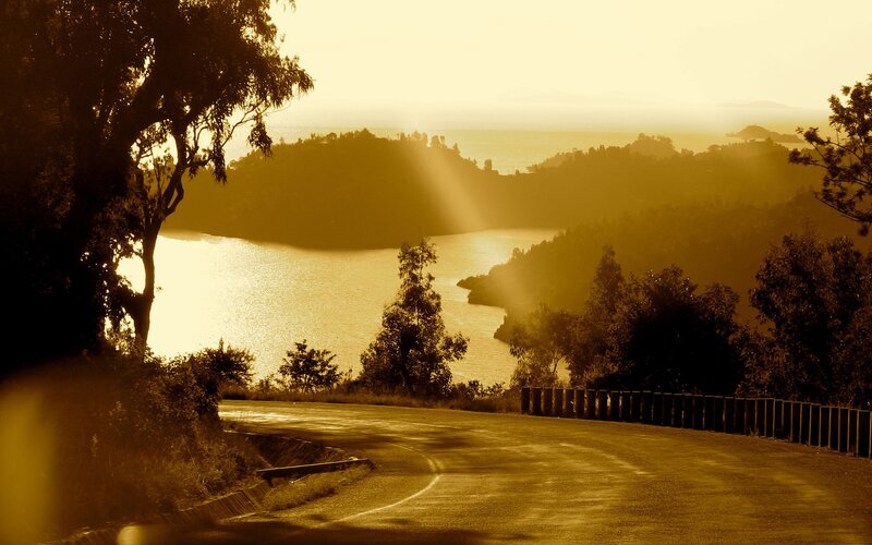 Curved Road by Lake — Gold