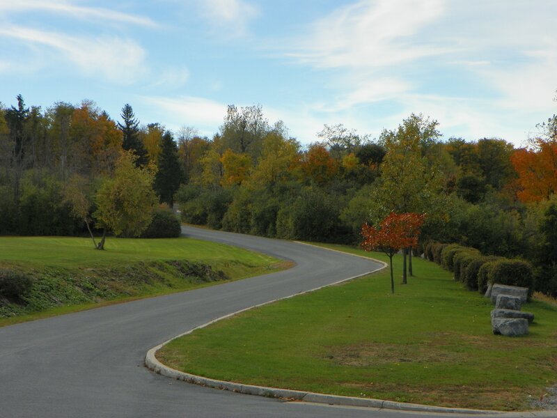 Curved Road in Autumn — Green, Serene, Photograph