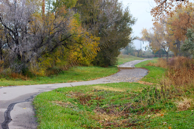 Curved Road in Autumn — Green