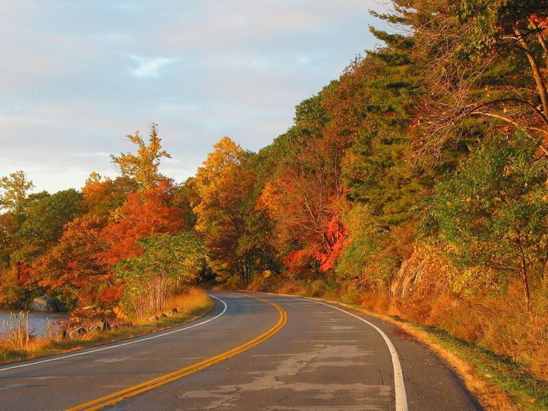 Curved Road in Autumn — Orange, Serene