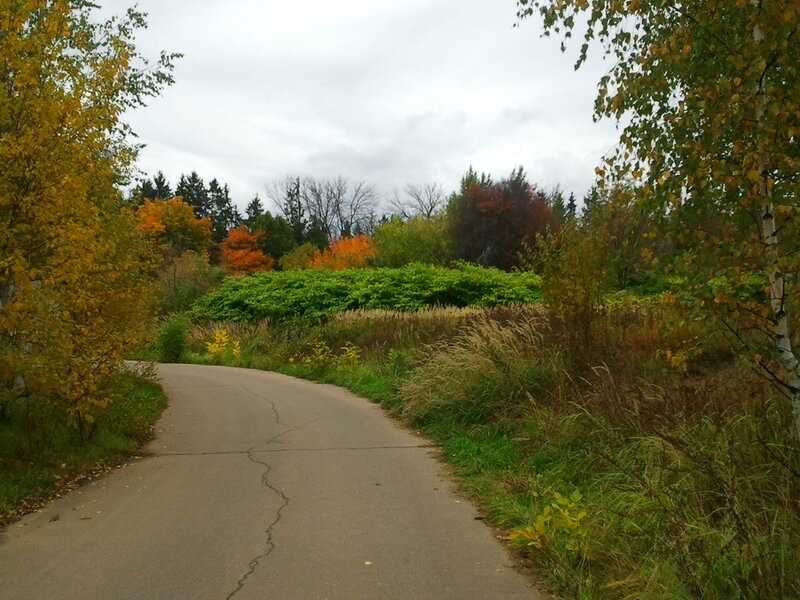 Curved Road in Autumn