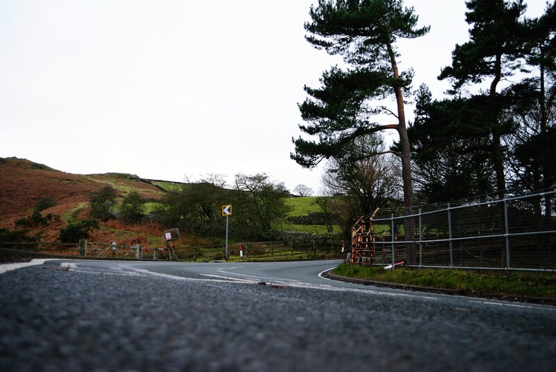 Curved Road in Countryside — Green, Calm