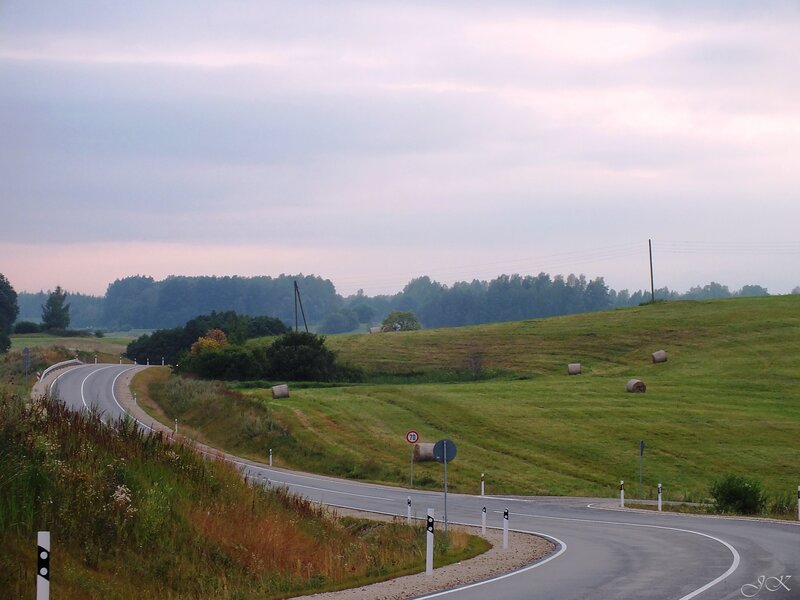 Curved Road in Countryside — Green, Serene