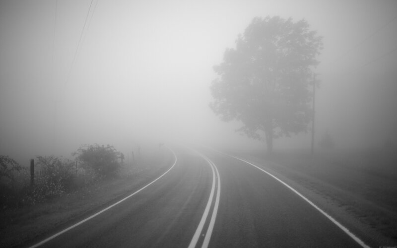 Curved Road in Fog — Gray
