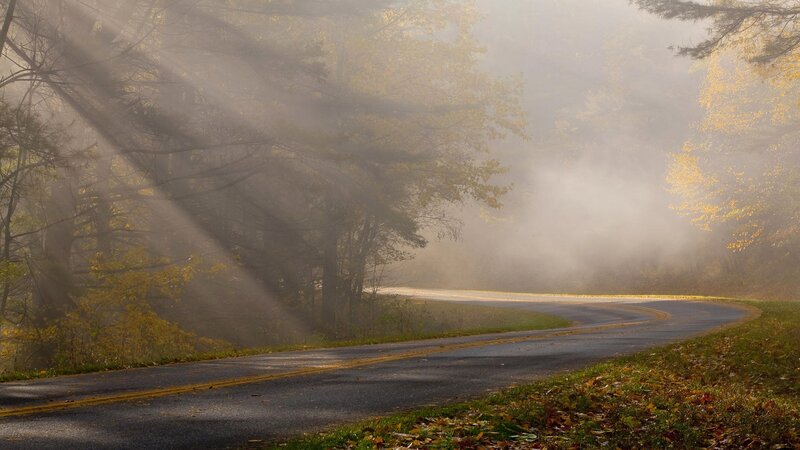 Curved Road in Fog