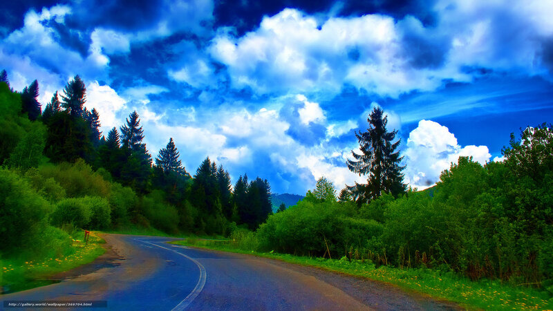 Curved Road in Forest — Blue