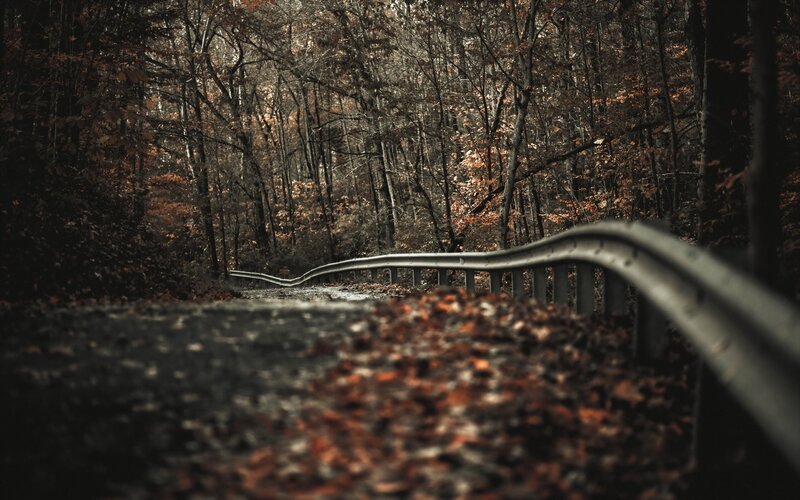 Curved Road in Forest — Brown