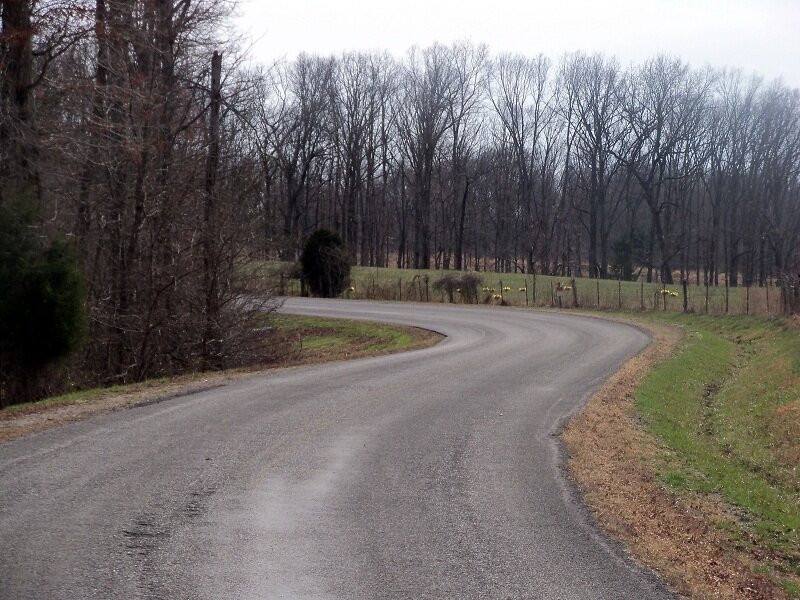 Curved Road in Forest — Gray, Calm