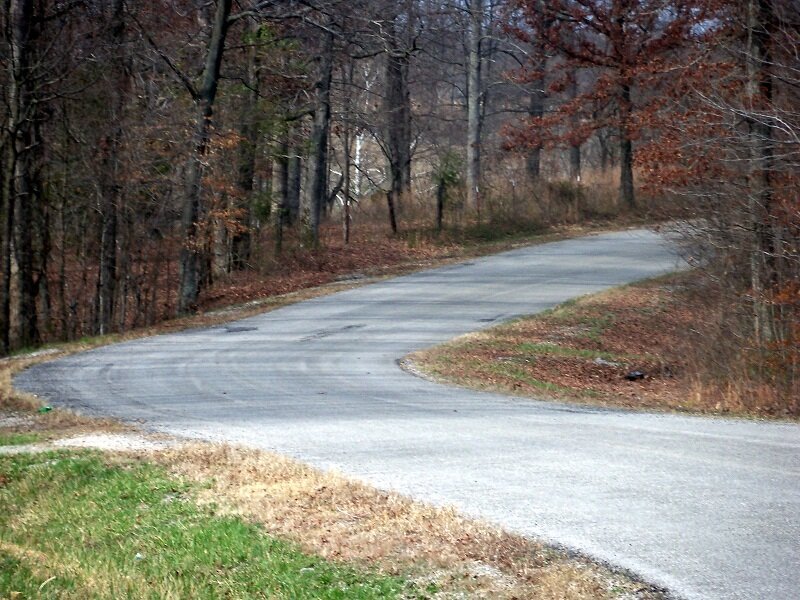 Curved Road in Forest — Gray