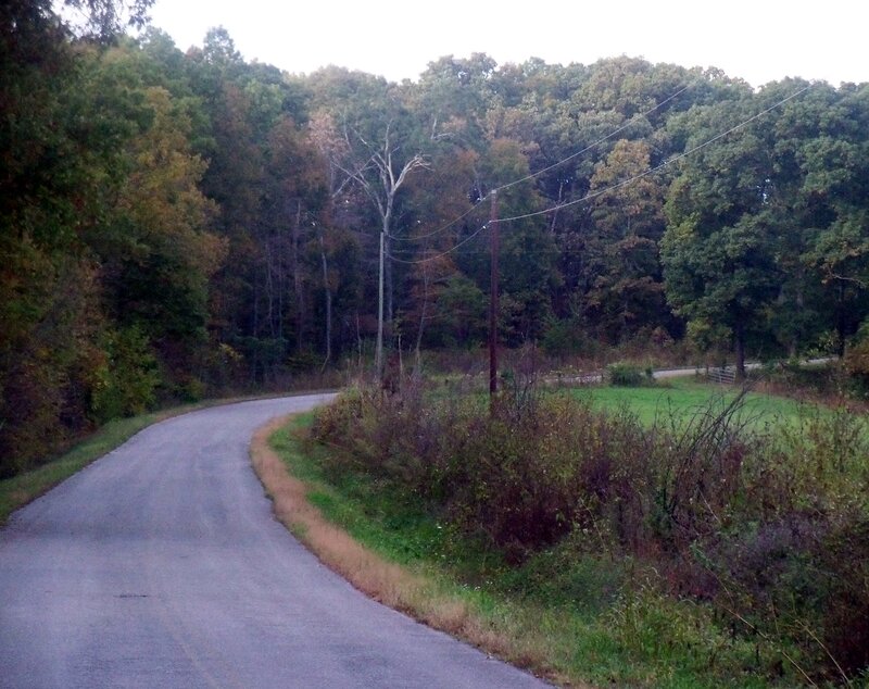 Curved Road in Forest — Green, Calm, Autumn