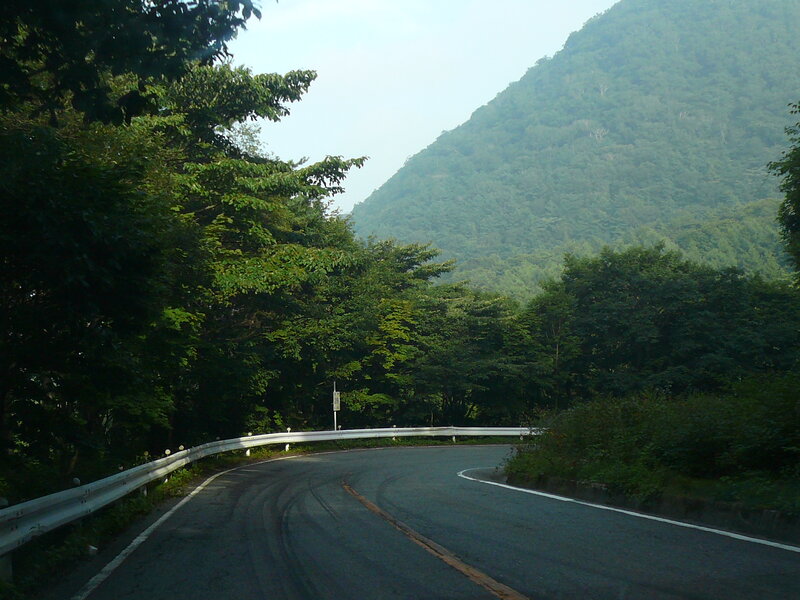 Curved Road in Forest — Green, Serene, Afternoon, Photograph, Trees, Mountain