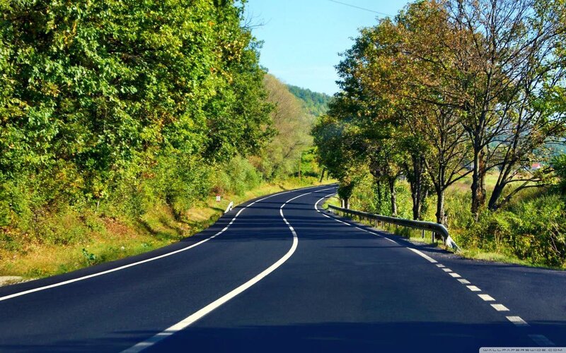 Curved Road in Forest — Green, Serene, Afternoon