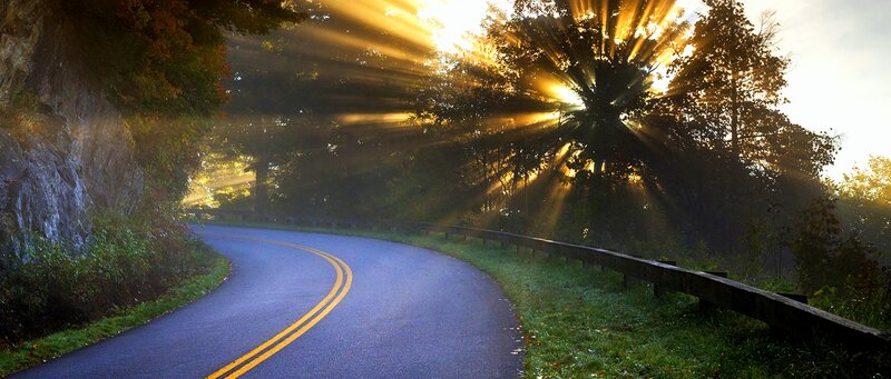 Curved Road in Forest — Green, Serene, Sunrise