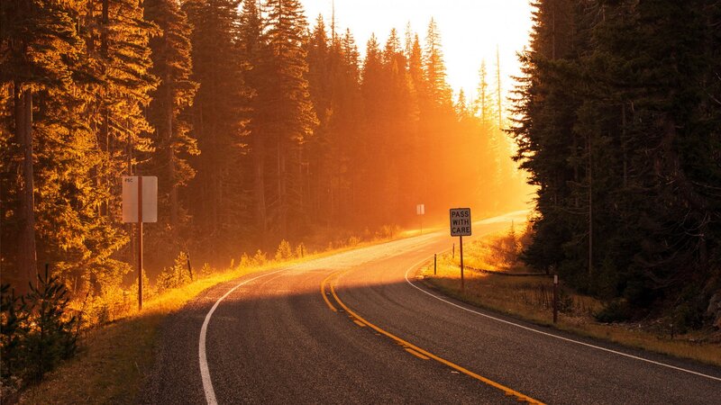 Curved Road in Forest — Orange