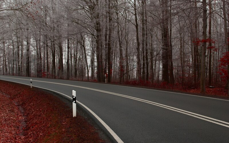 Curved Road in Forest — Red