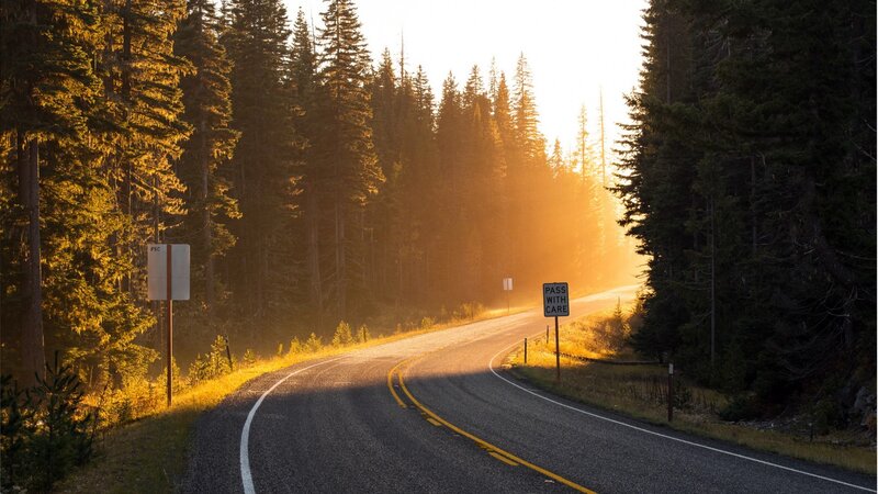 Curved Road in Forest — Yellow, Serene, Sunset