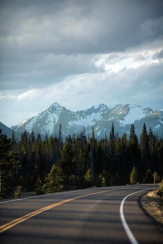 Curved Road in Mountains — Gray